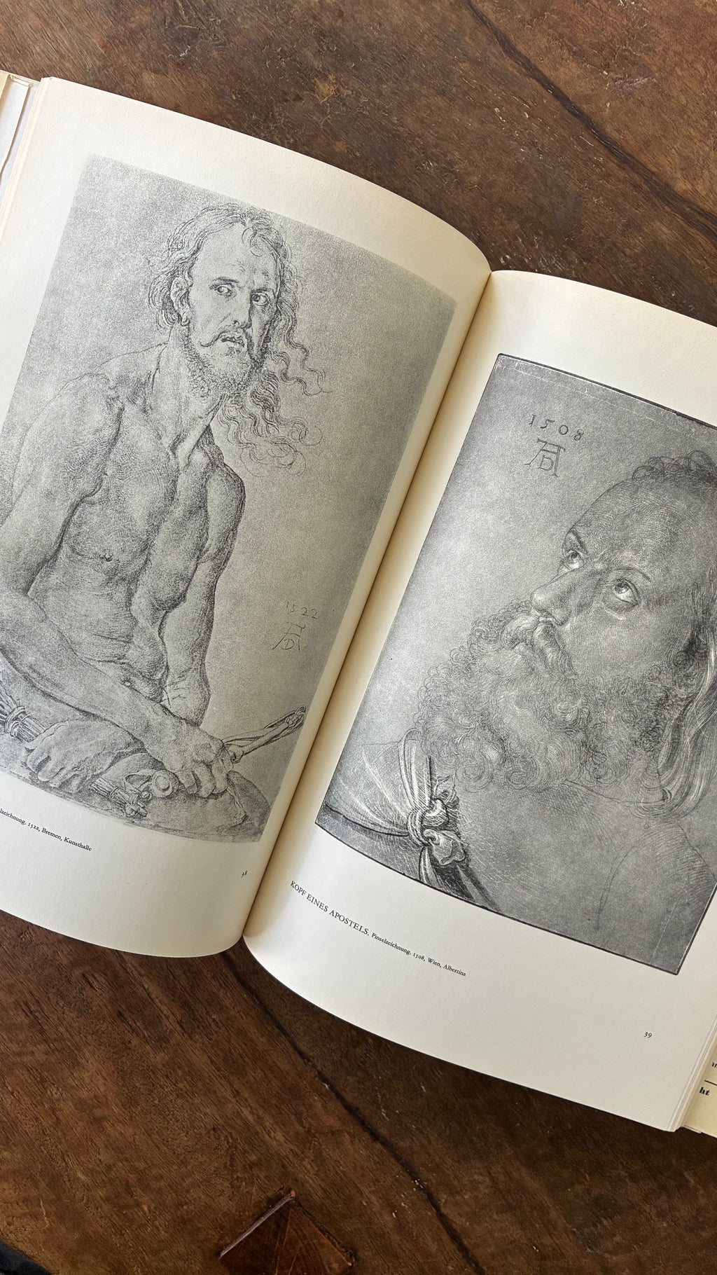 DÜRER ALS MALER - DIE BLAUEN BÜCHER (VINTAGE EDITION)