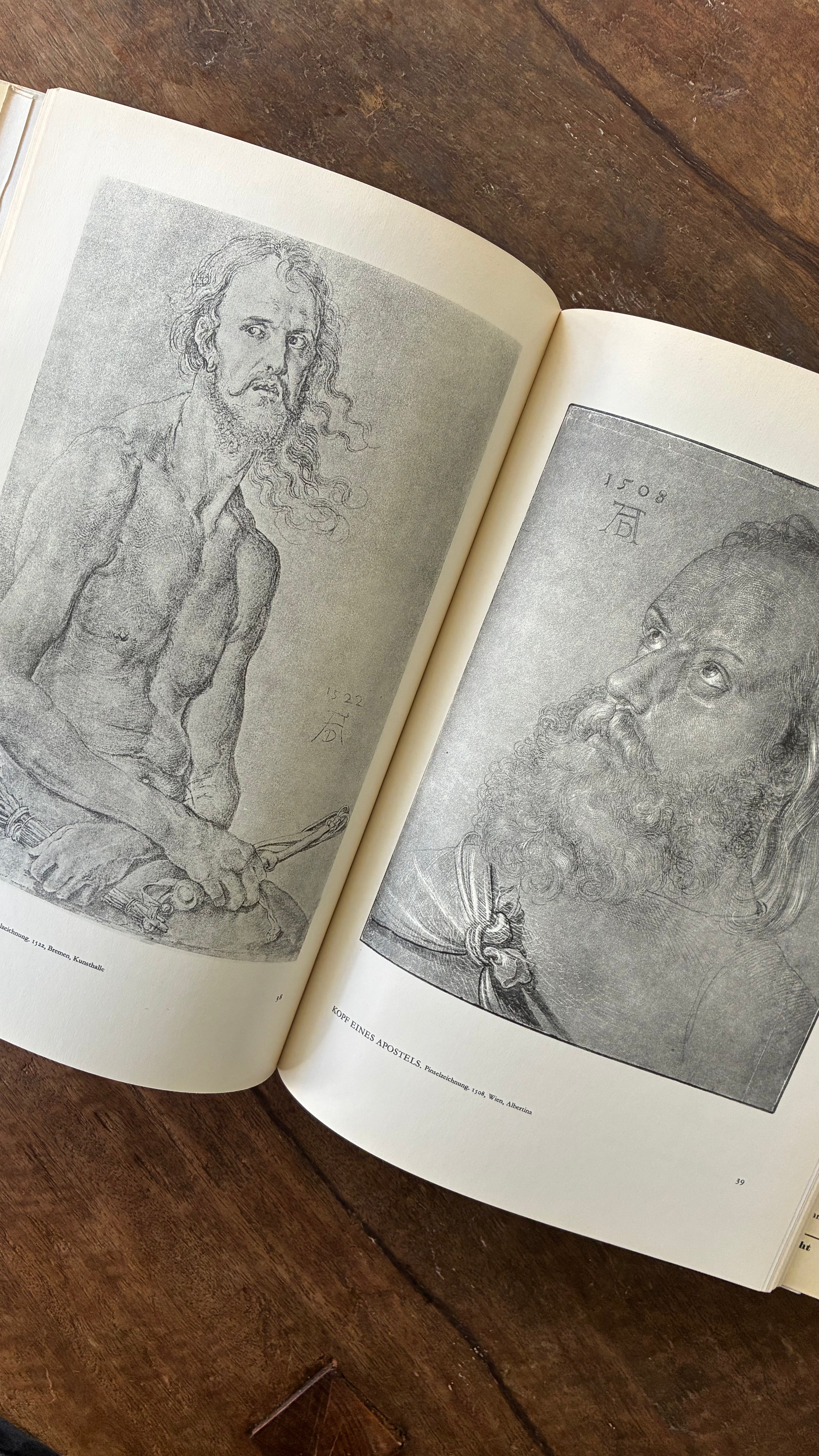 DÜRER ALS MALER - DIE BLAUEN BÜCHER (VINTAGE EDITION)