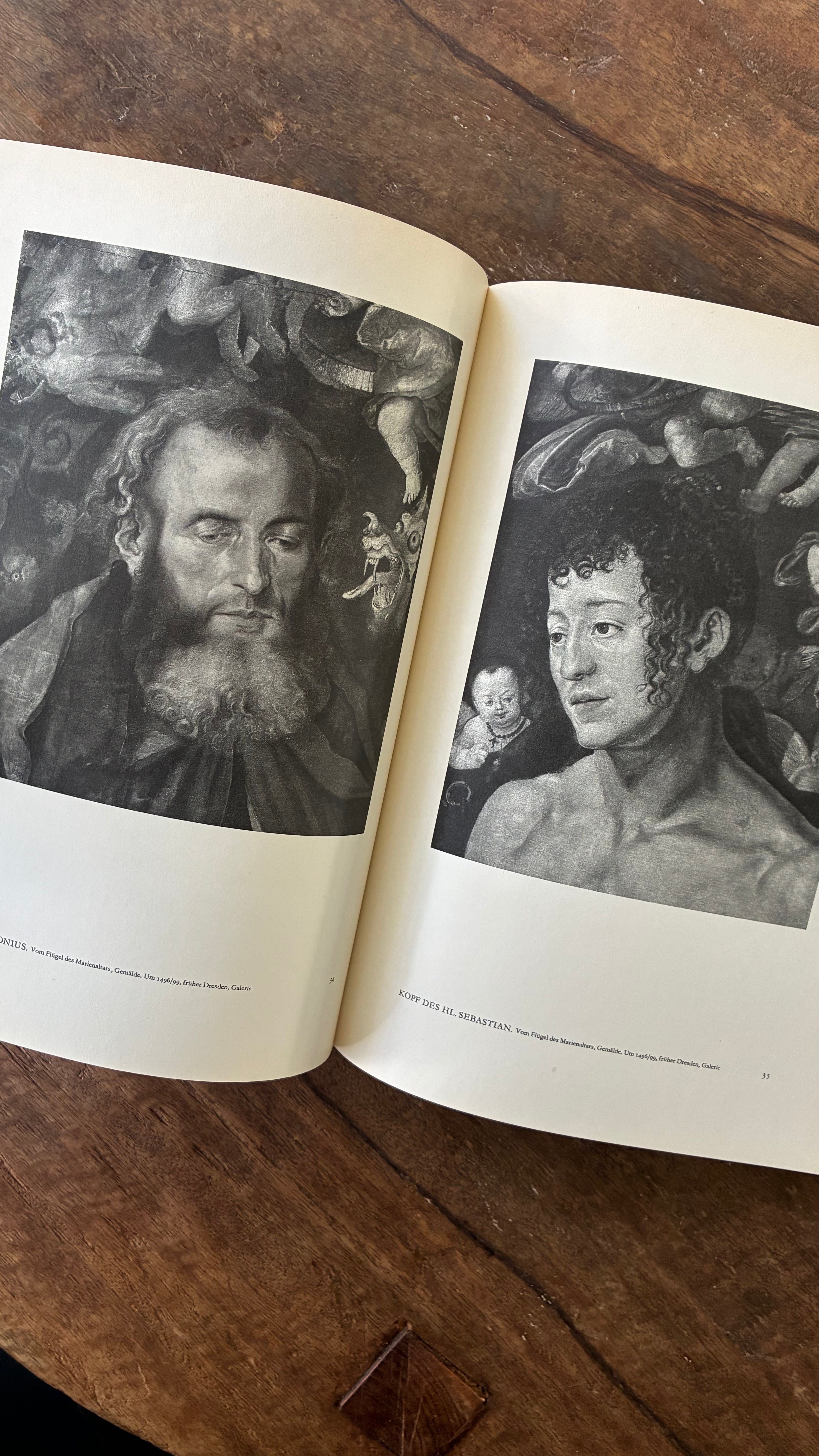 DÜRER ALS MALER - DIE BLAUEN BÜCHER (VINTAGE EDITION)