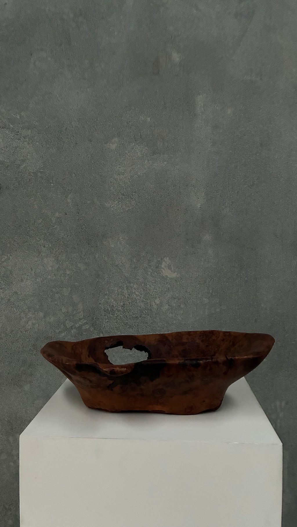 Organic Burl Timber Bowl