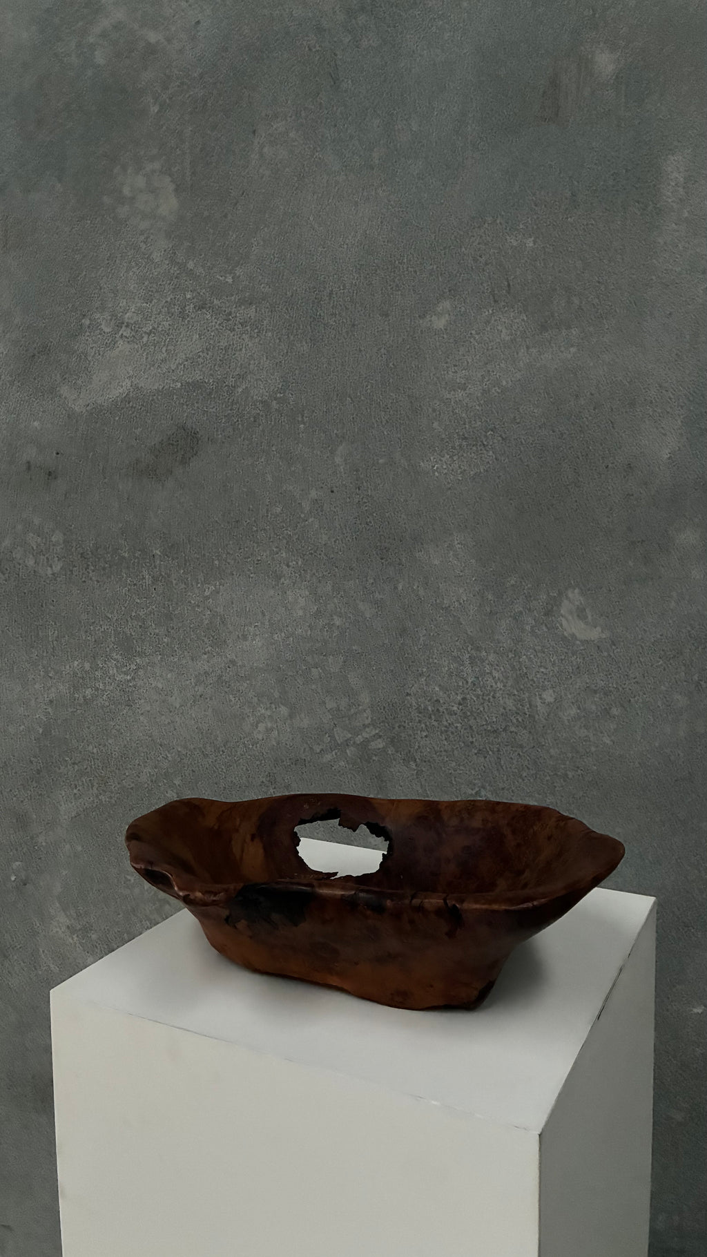 Organic Burl Timber Bowl