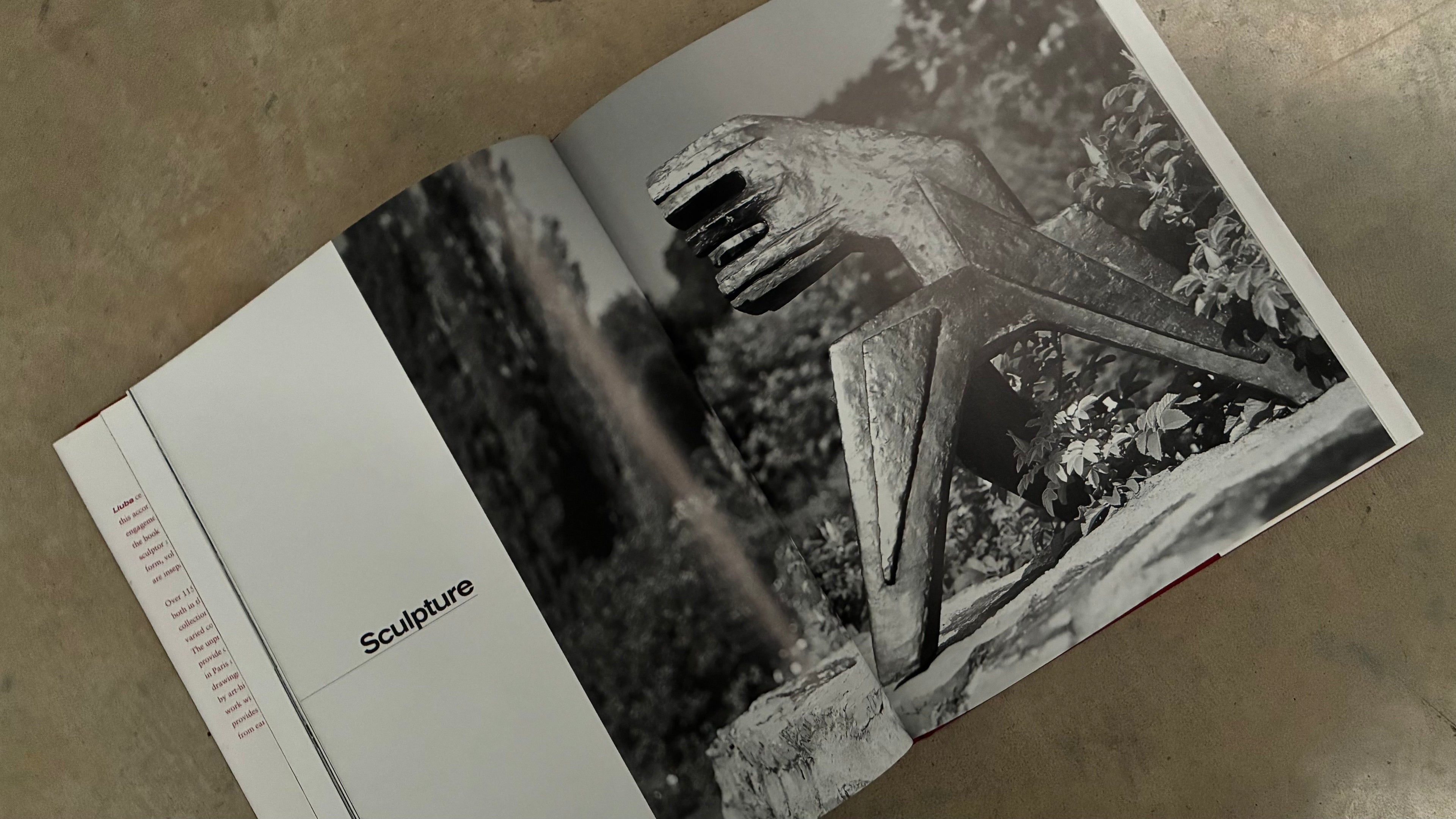 LIUBA | Rizzoli New York Sculpture Monograph