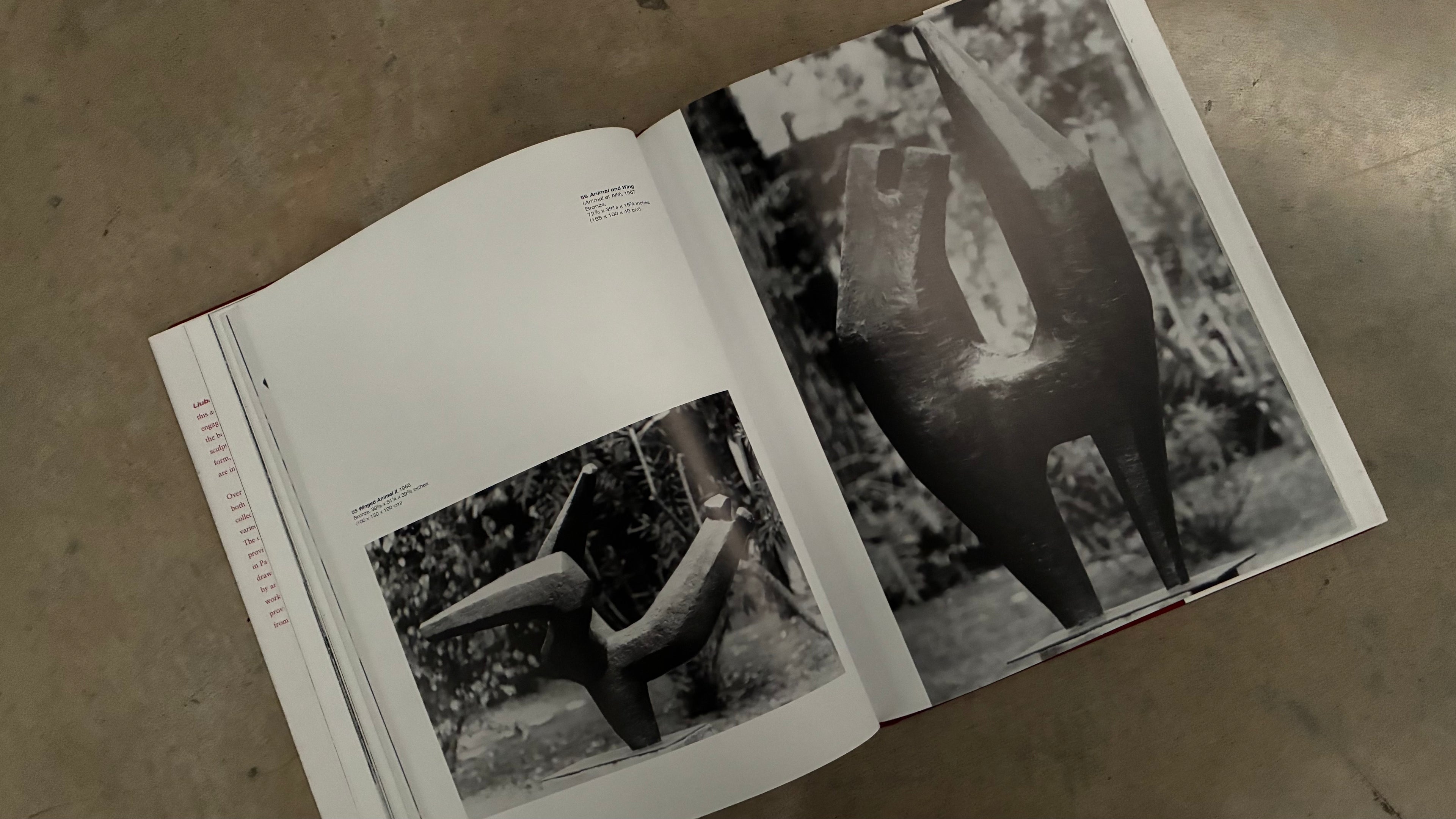 LIUBA | Rizzoli New York Sculpture Monograph