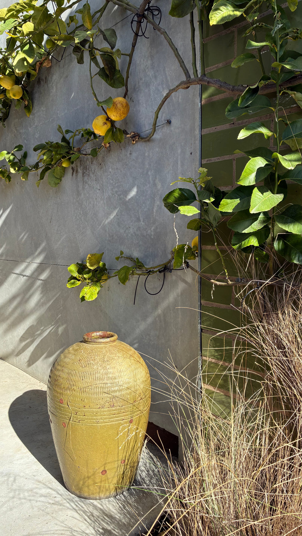 VIETNAMESE GLAZED STONEWARE POT
