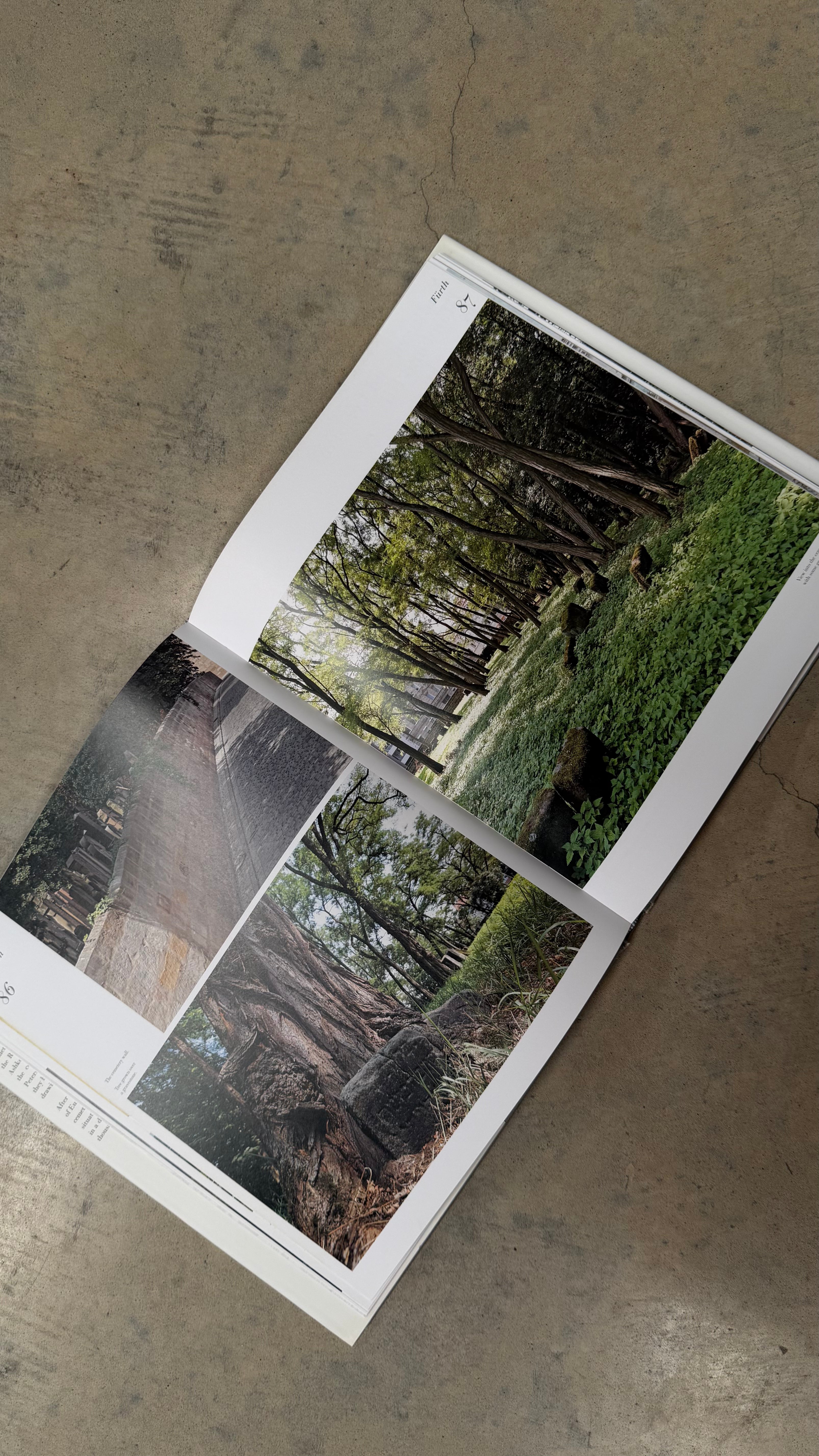 Houses of Life - Jewish Cemeteries of Europe