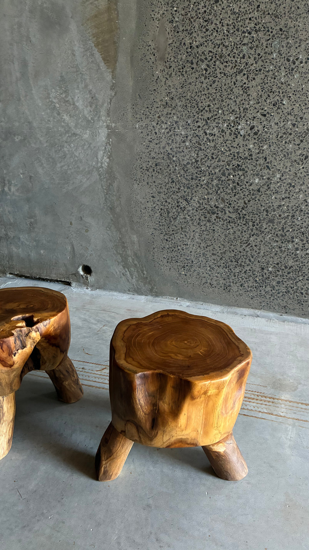 Pair of Sculptural Teak Root Stools