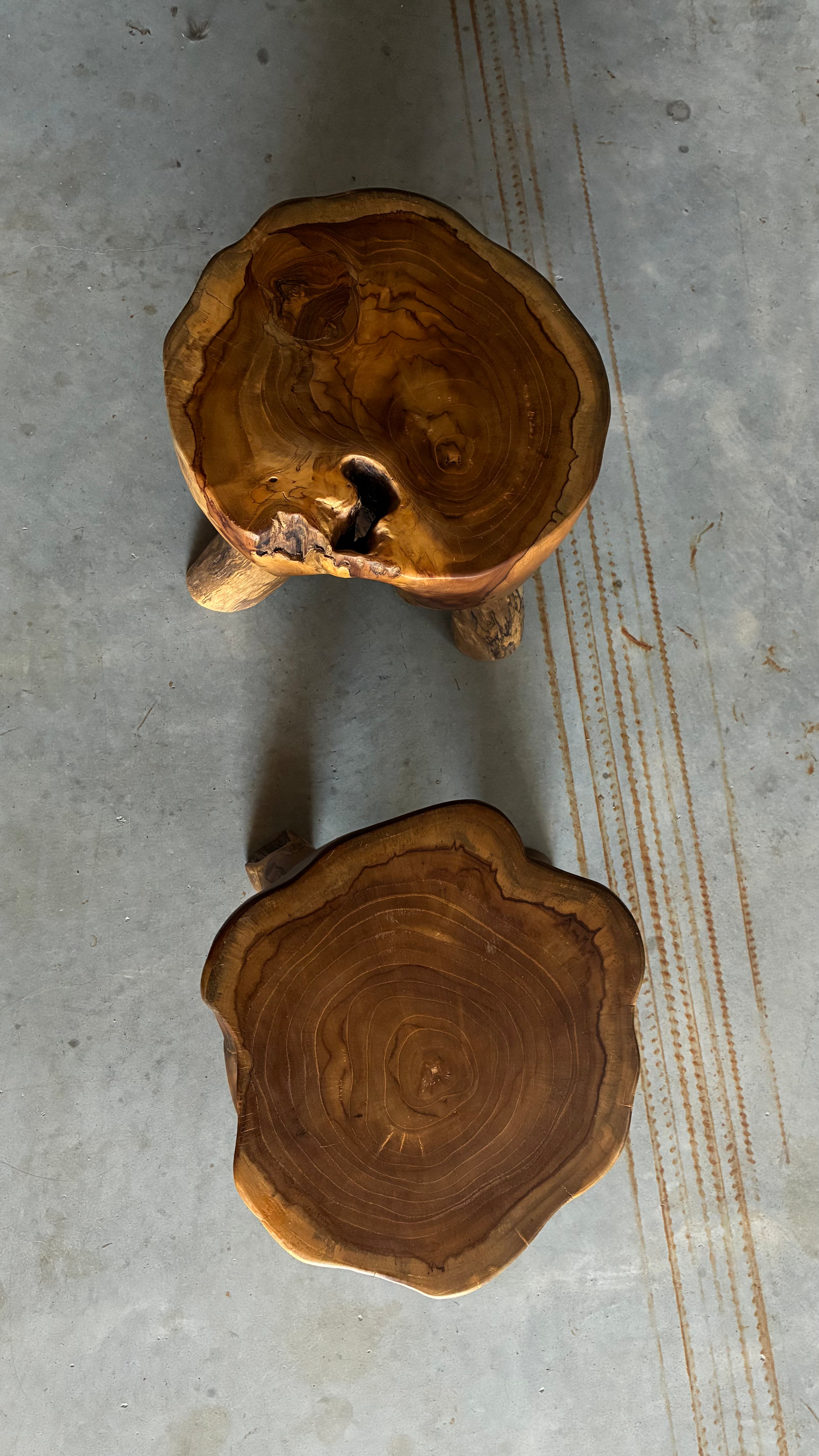 Pair of Sculptural Teak Root Stools